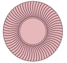 rosa